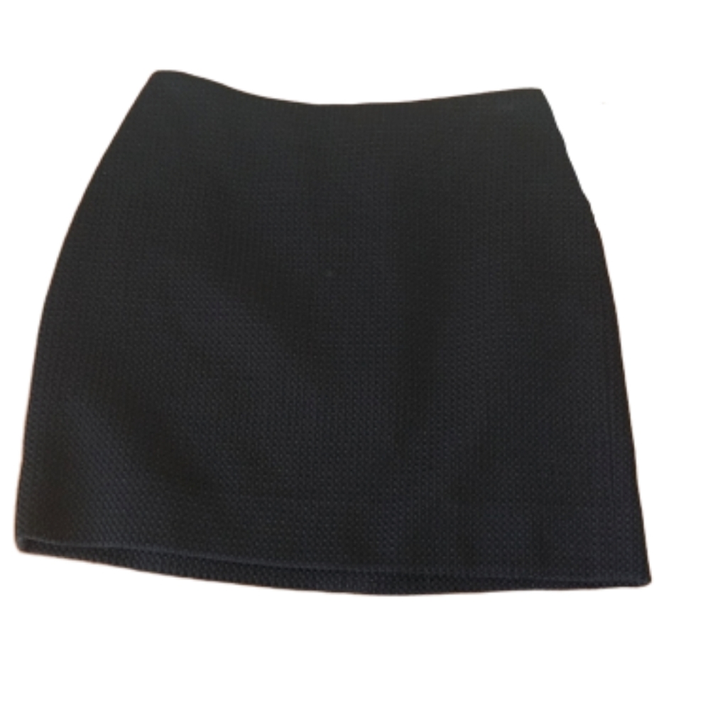 Ann Taylor Petites Skirt